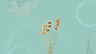 Cerpen Dewandaru Ibrahim Senjahaji