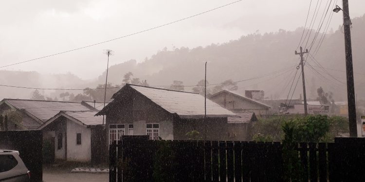 Puisi-puisi Suci Wulandari